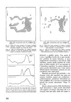 giornale/CFI0358410/1941-1942/unico/00000428