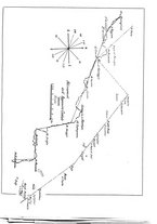 giornale/CFI0358410/1941-1942/unico/00000469