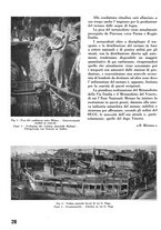 giornale/CFI0358410/1941-1942/unico/00000662