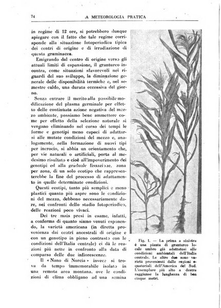 La meteorologia pratica rivista di meteorologia agraria, igienica, aeronautica