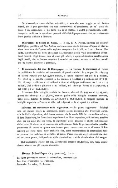 Minerva rassegna internazionale