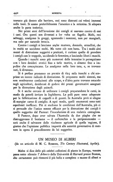 Minerva rassegna internazionale