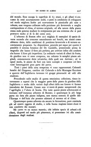 Minerva rassegna internazionale