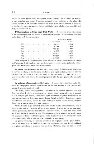 Minerva rassegna internazionale