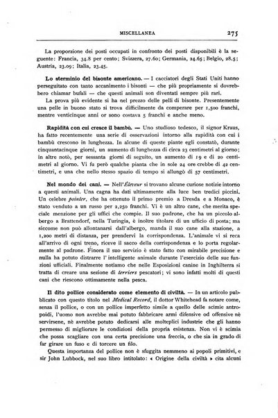 Minerva rassegna internazionale