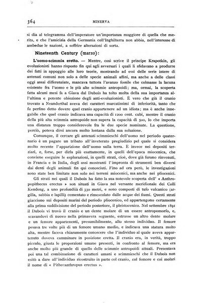 Minerva rassegna internazionale