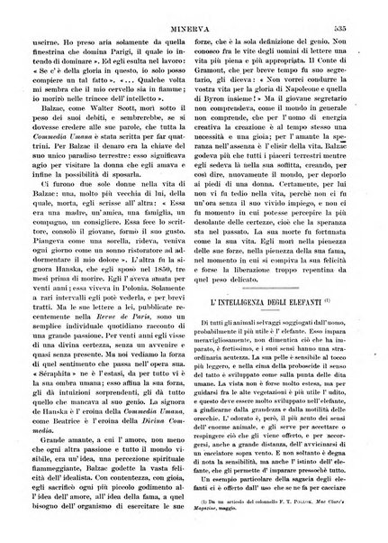 Minerva rassegna internazionale