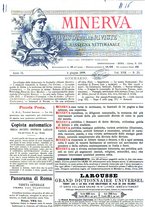 giornale/CFI0358541/1898-1899/unico/00000685