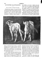 giornale/CFI0358541/1898-1899/unico/00000730