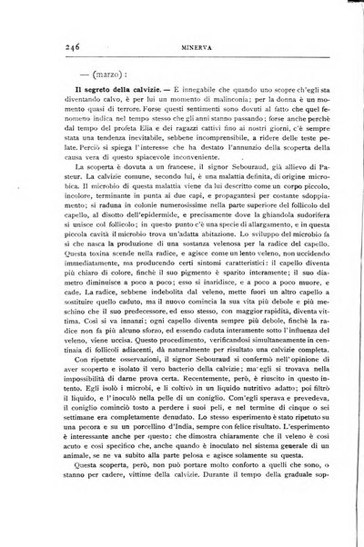 Minerva rassegna internazionale