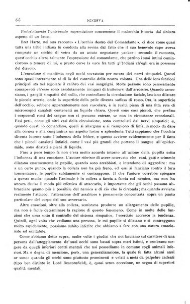 Minerva rassegna internazionale