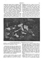 giornale/CFI0358541/1899-1900/unico/00000037