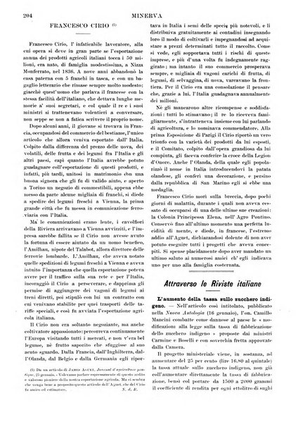 Minerva rassegna internazionale