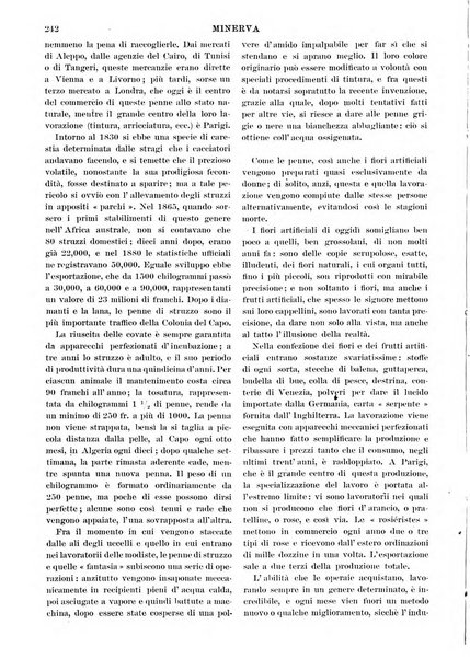 Minerva rassegna internazionale