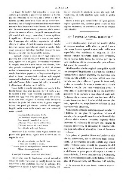 Minerva rassegna internazionale