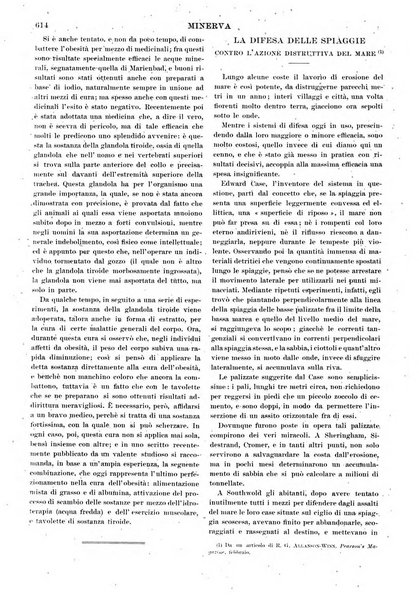 Minerva rassegna internazionale