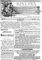 giornale/CFI0358541/1899/unico/00000349