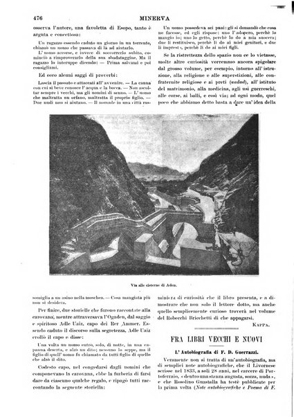 Minerva rassegna internazionale