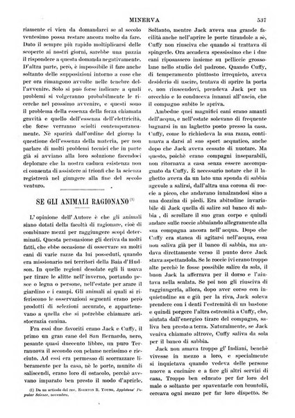 Minerva rassegna internazionale