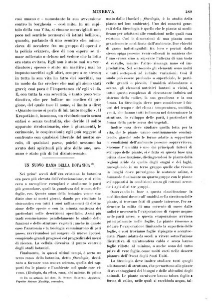 Minerva rassegna internazionale