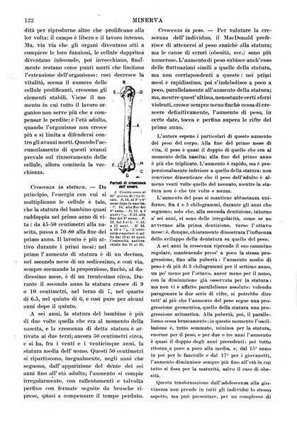 Minerva rassegna internazionale