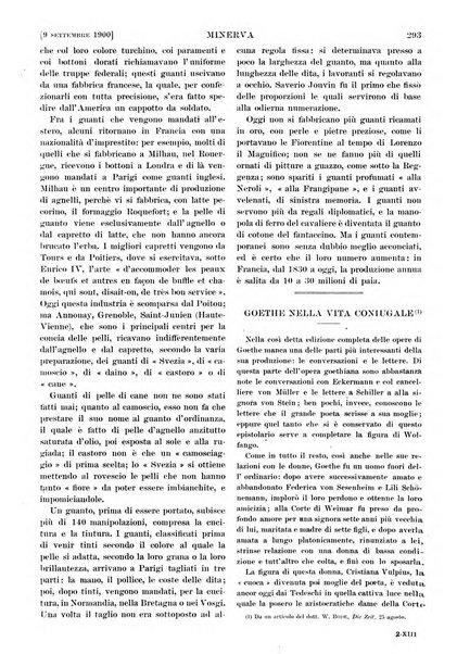 Minerva rassegna internazionale