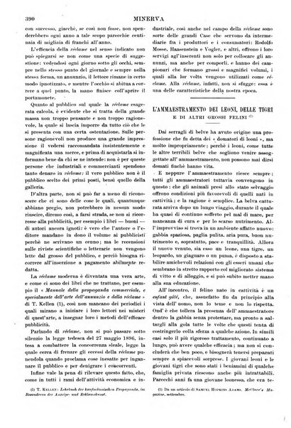 Minerva rassegna internazionale