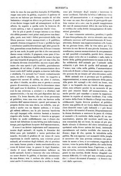 Minerva rassegna internazionale