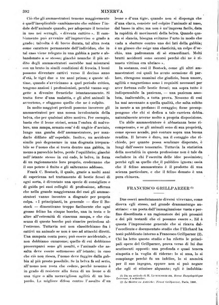 Minerva rassegna internazionale