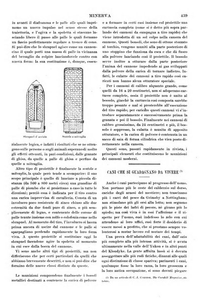 Minerva rassegna internazionale