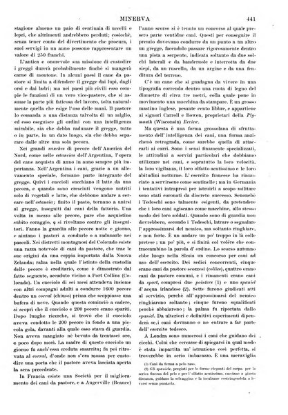 Minerva rassegna internazionale