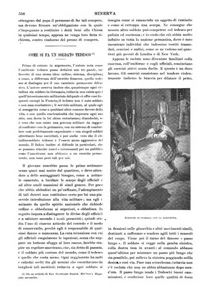 Minerva rassegna internazionale