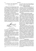 giornale/CFI0358541/1901/unico/00000176