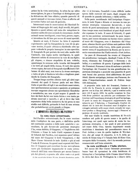 Minerva rassegna internazionale