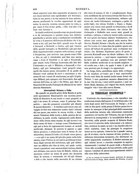 Minerva rassegna internazionale