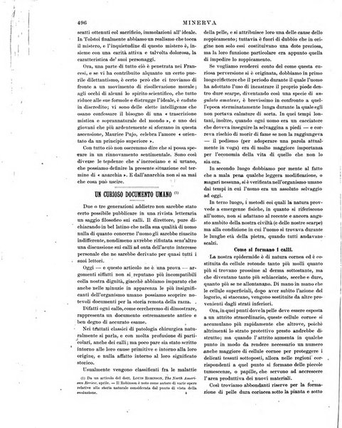 Minerva rassegna internazionale