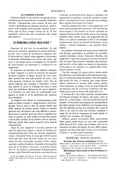 Minerva rassegna internazionale