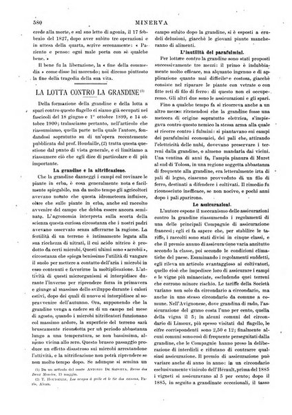 Minerva rassegna internazionale