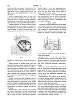 giornale/CFI0358541/1901/unico/00000696