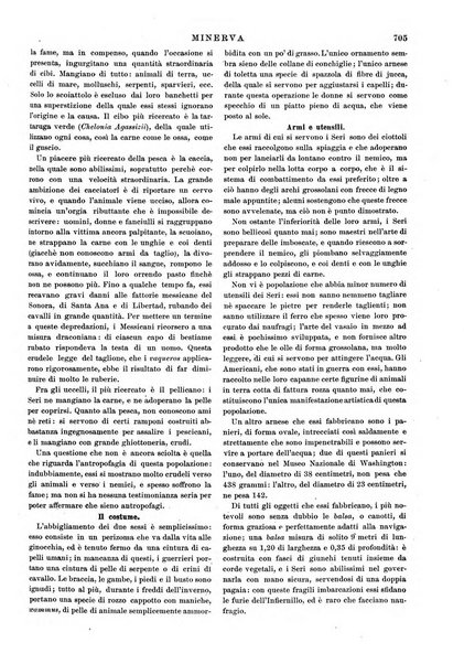 Minerva rassegna internazionale