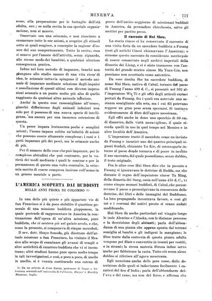 Minerva rassegna internazionale