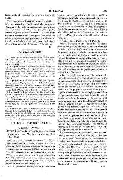 Minerva rassegna internazionale