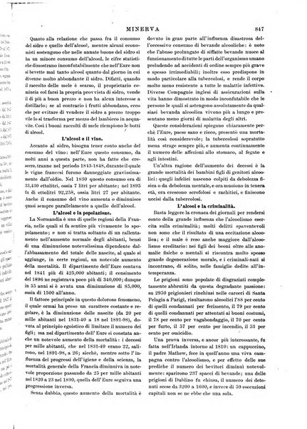 Minerva rassegna internazionale