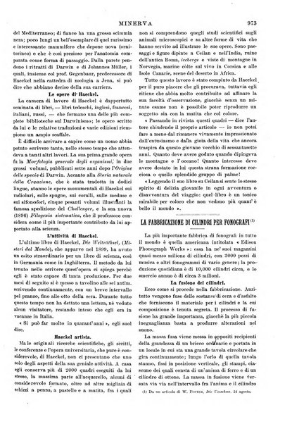 Minerva rassegna internazionale