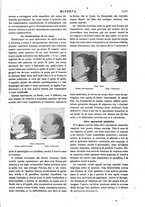 giornale/CFI0358541/1901/unico/00001327