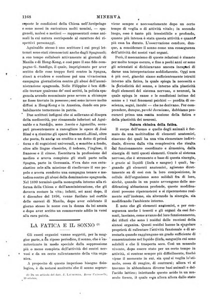 Minerva rassegna internazionale