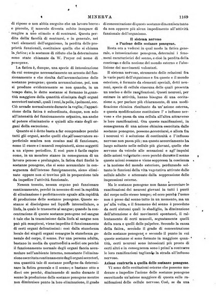 Minerva rassegna internazionale