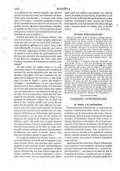 Minerva rassegna internazionale