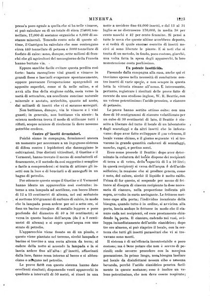 Minerva rassegna internazionale