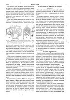 giornale/CFI0358541/1901/unico/00001444